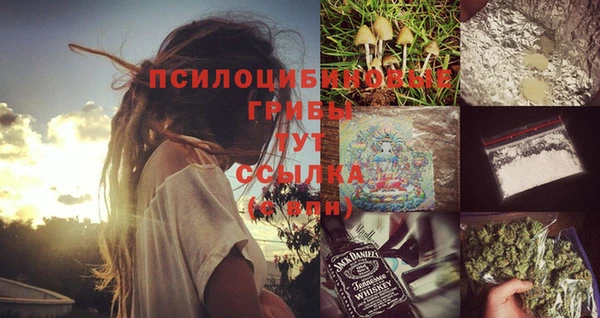 jwh Вяземский